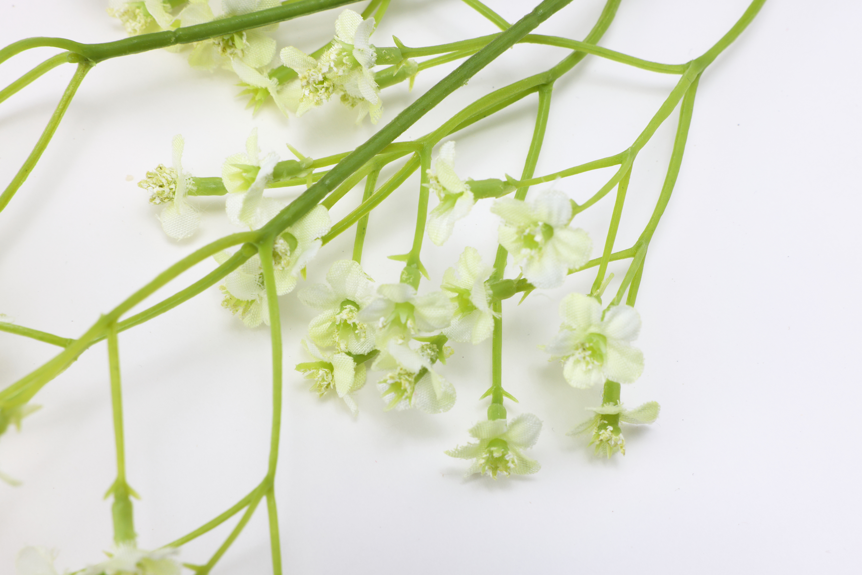 フェイクグリーン