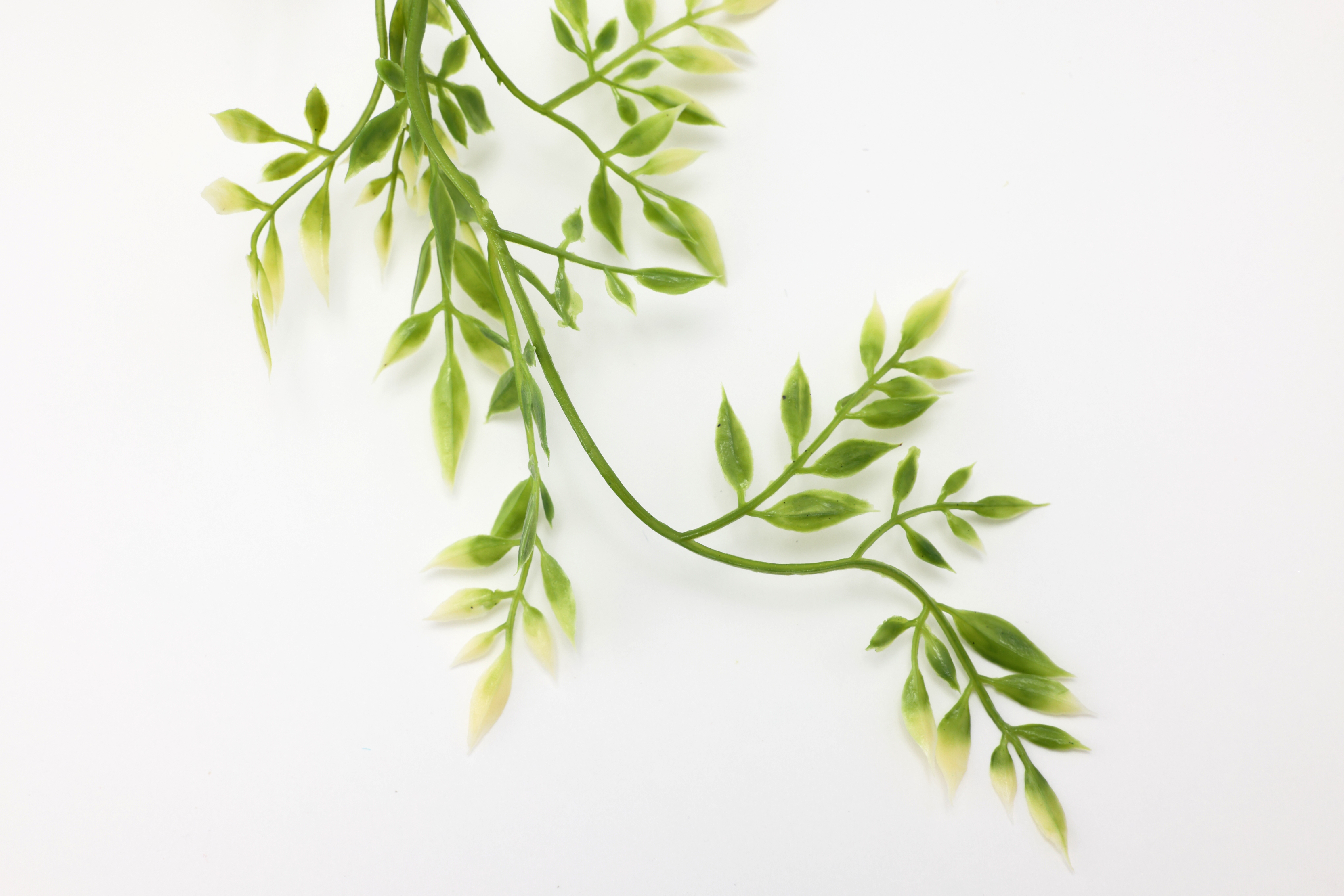 フェイクグリーン