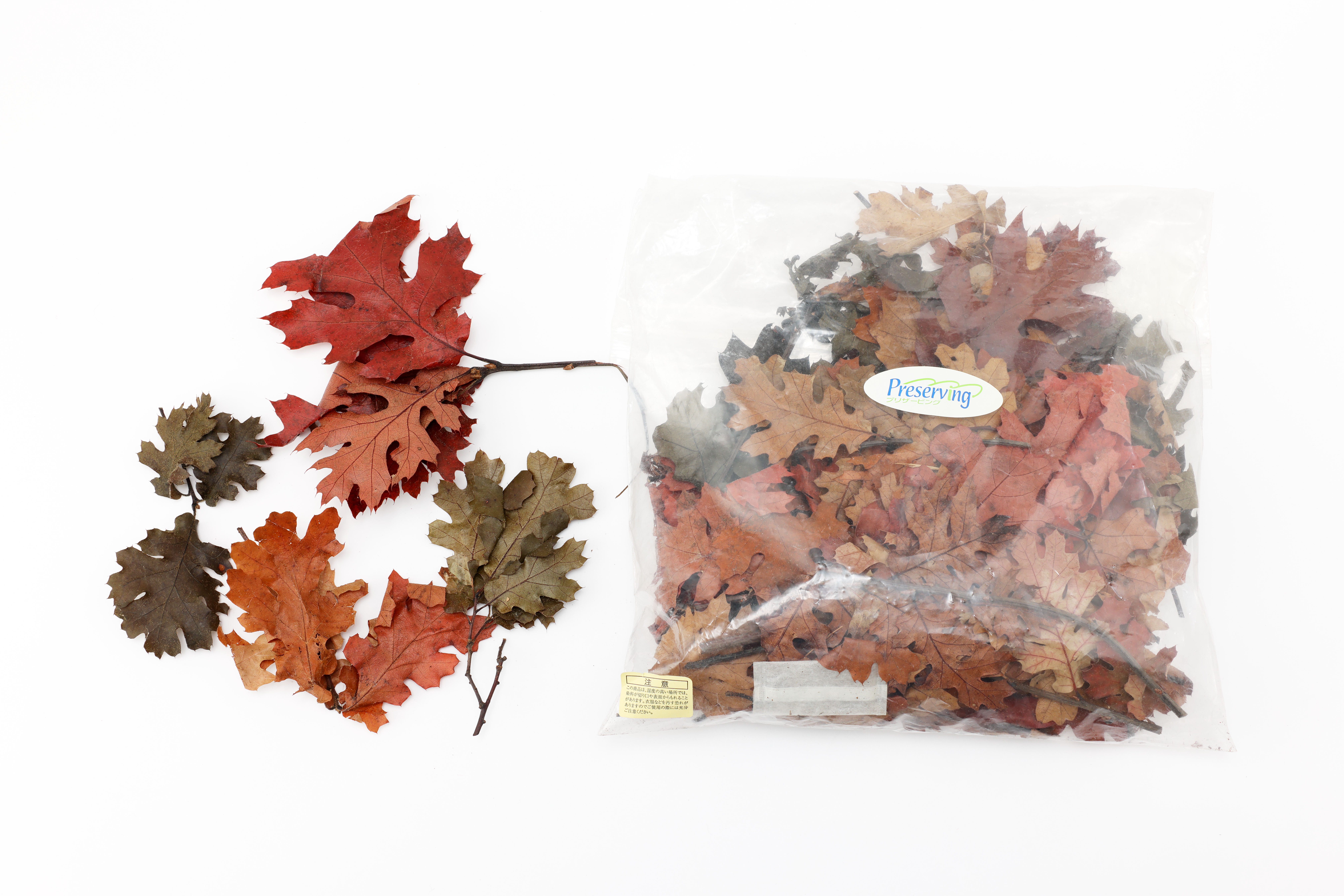 フェイクリーフ