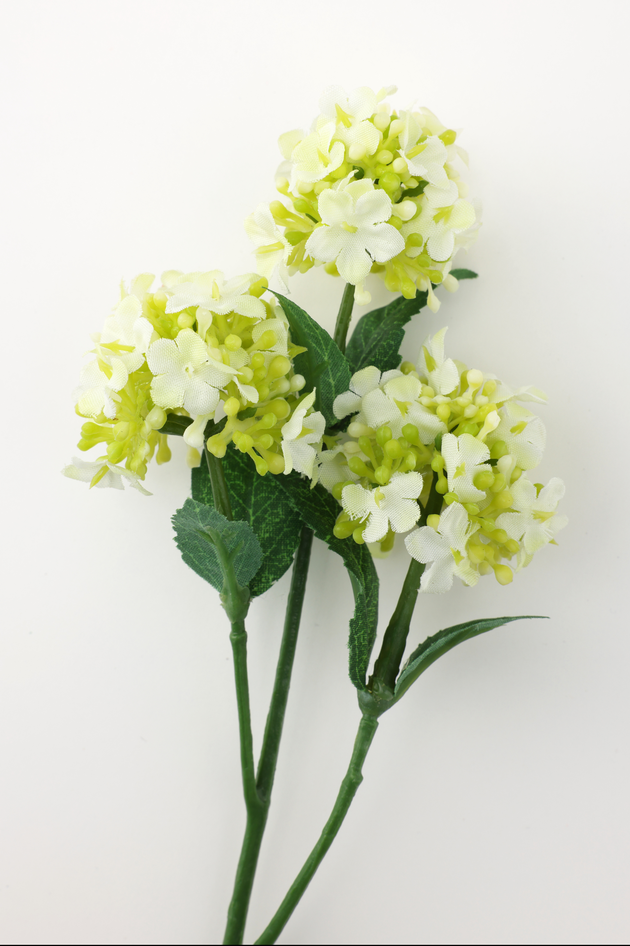 フェイクグリーン