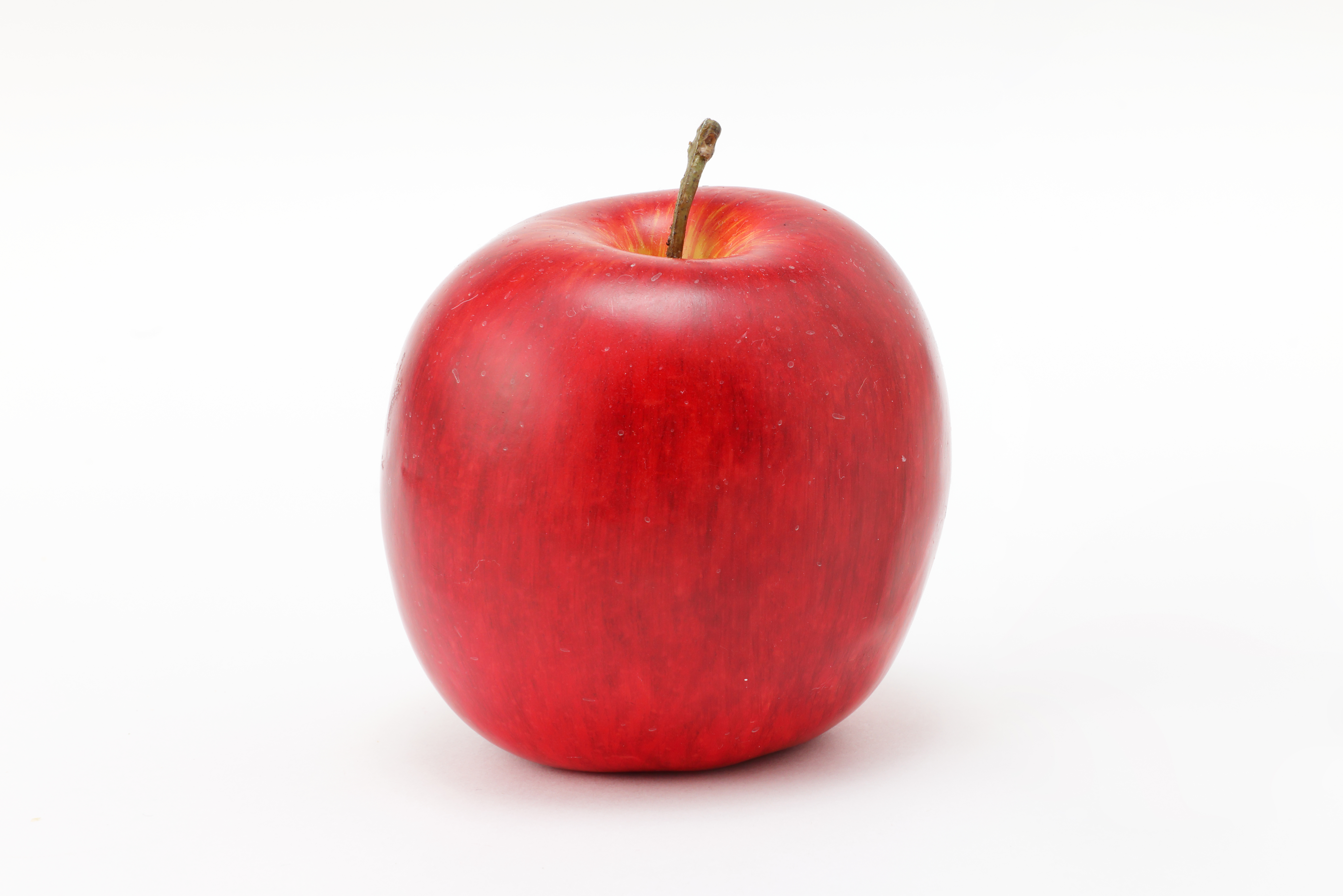 食品サンプル りんご