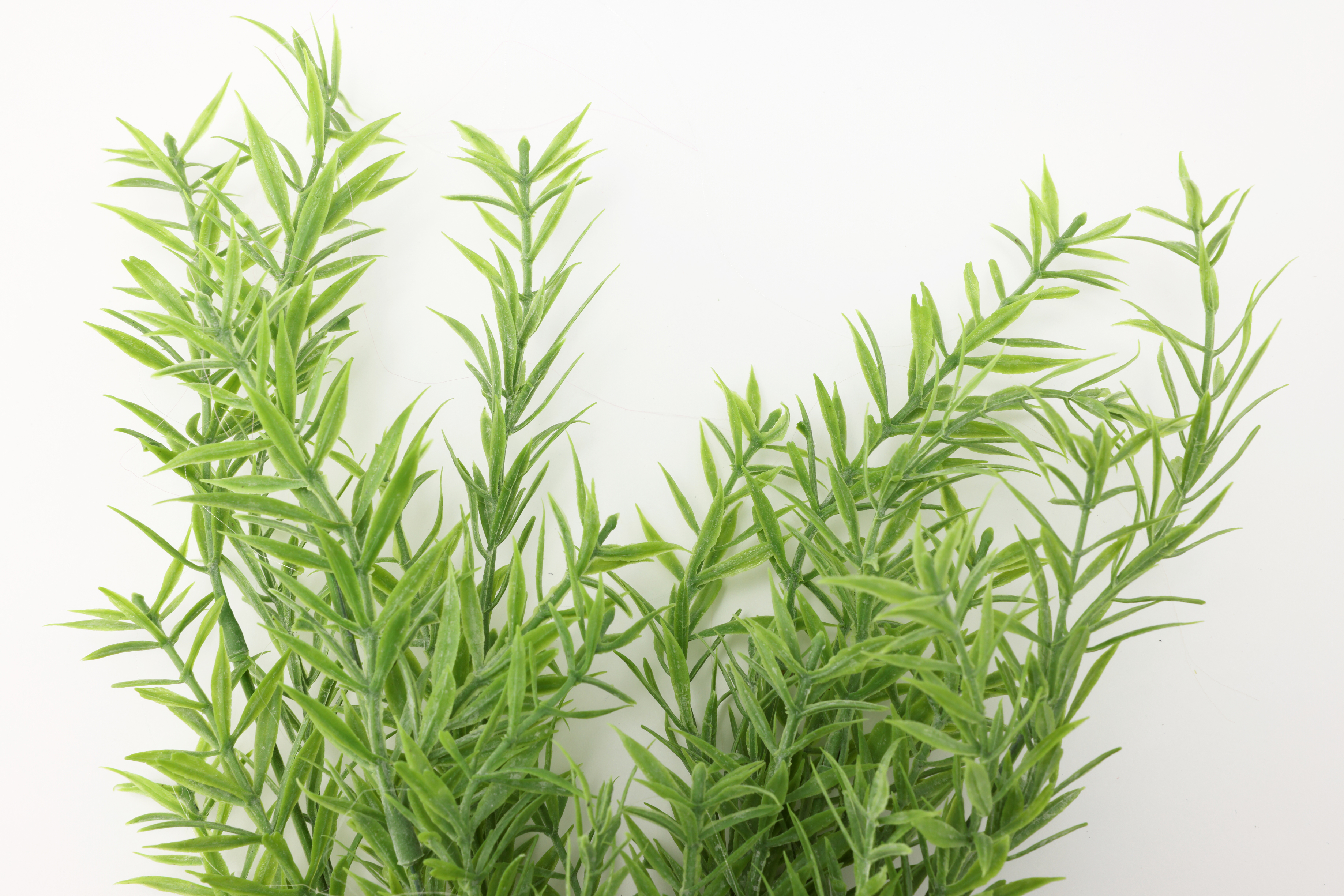 フェイクグリーン