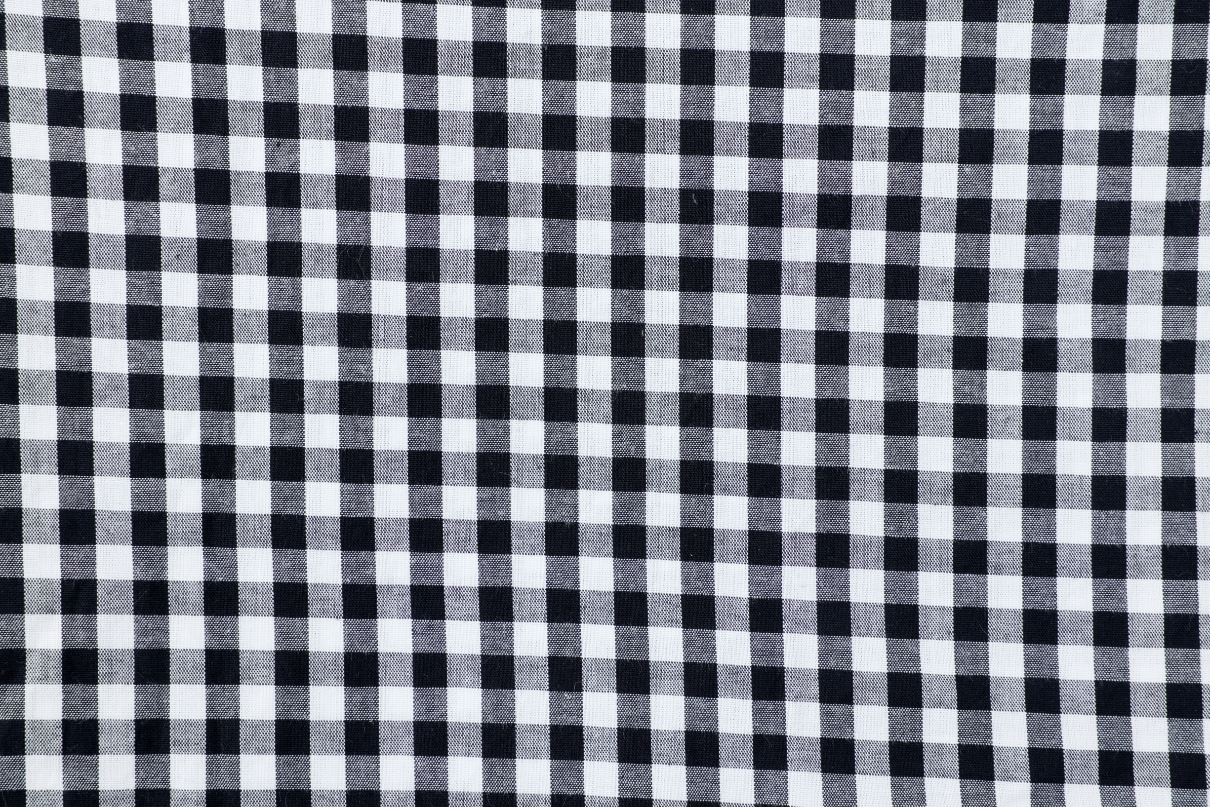 布 黒ギンガムチェック コットン