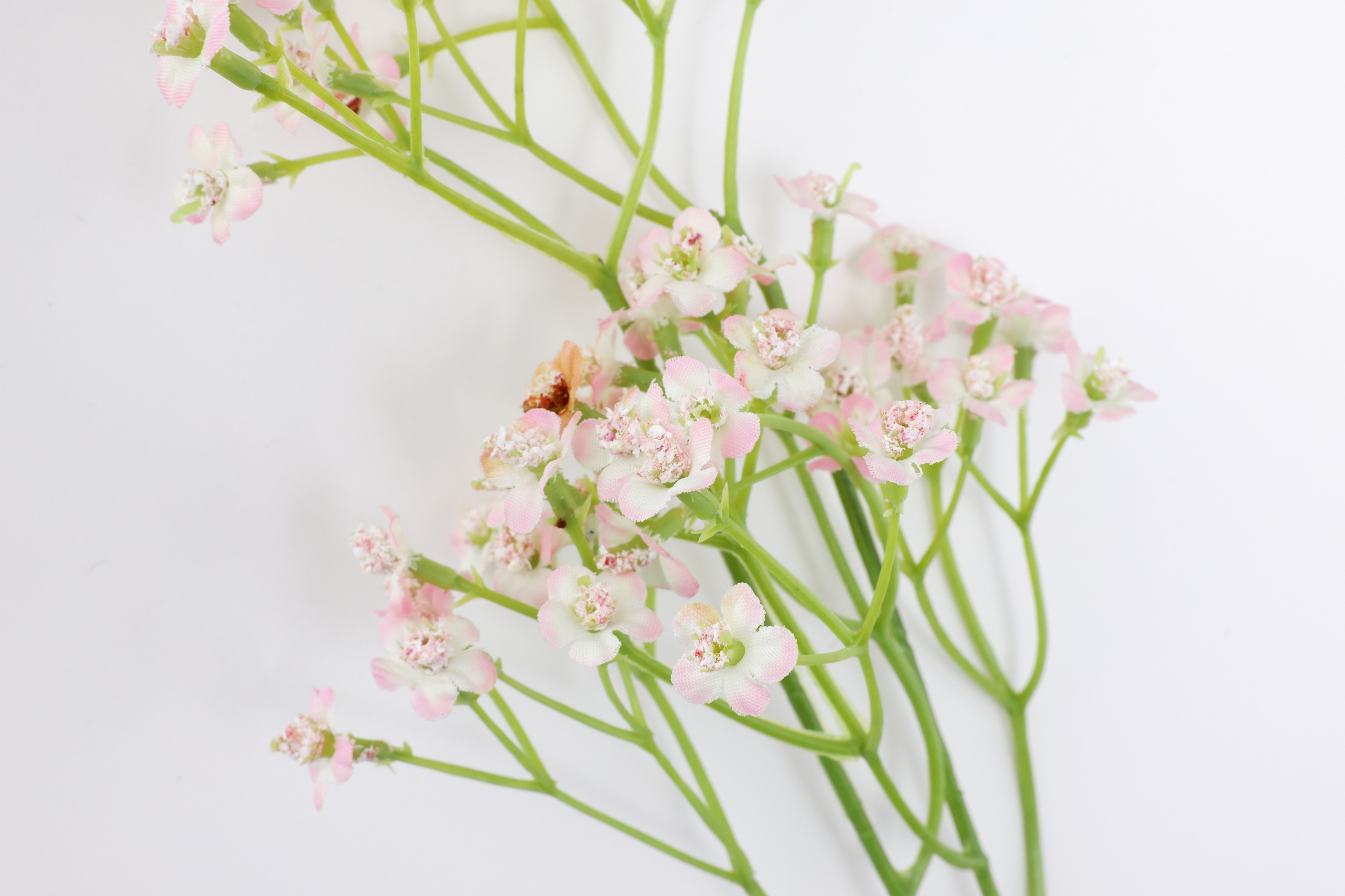 フェイクグリーン