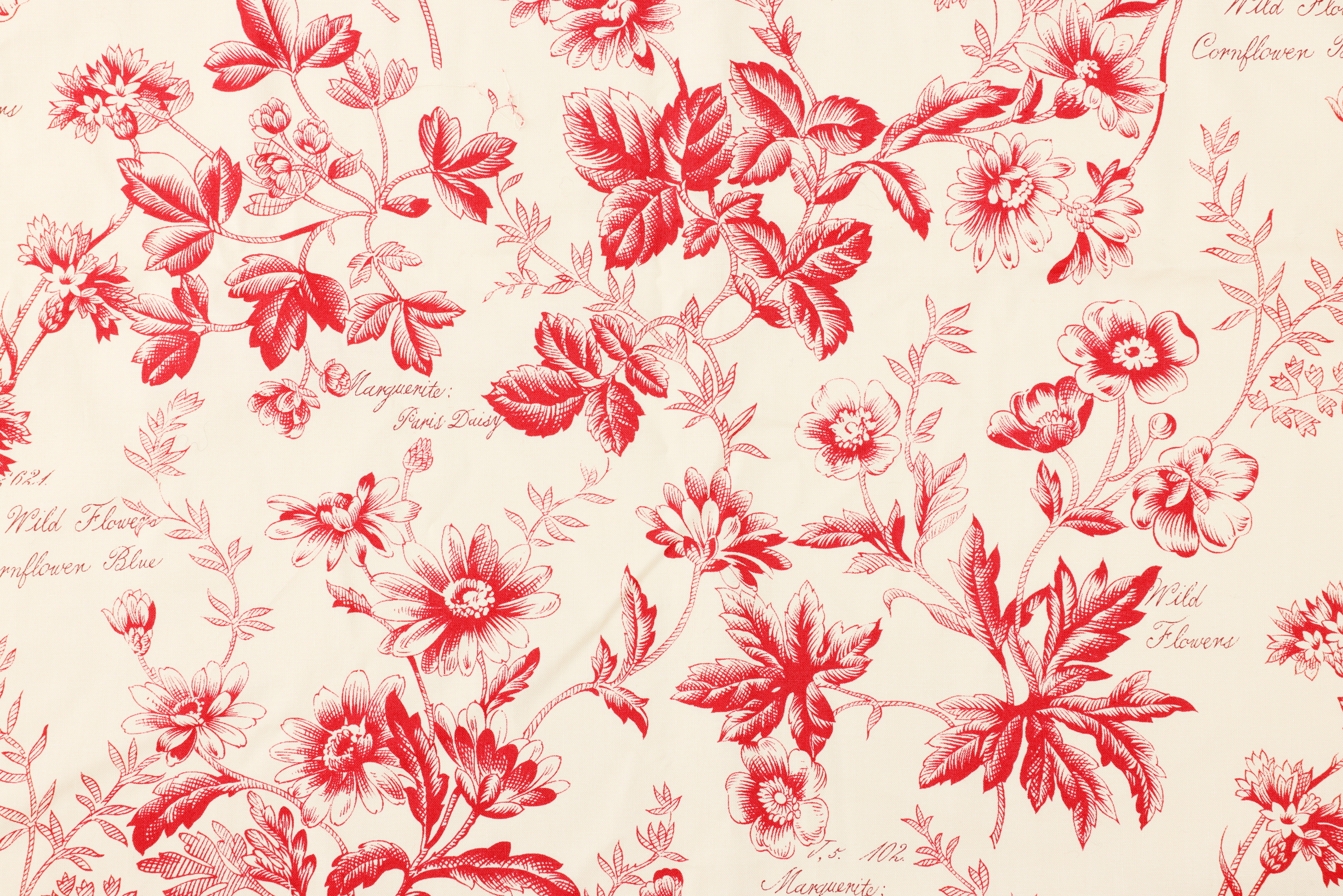 布 花柄 コットン