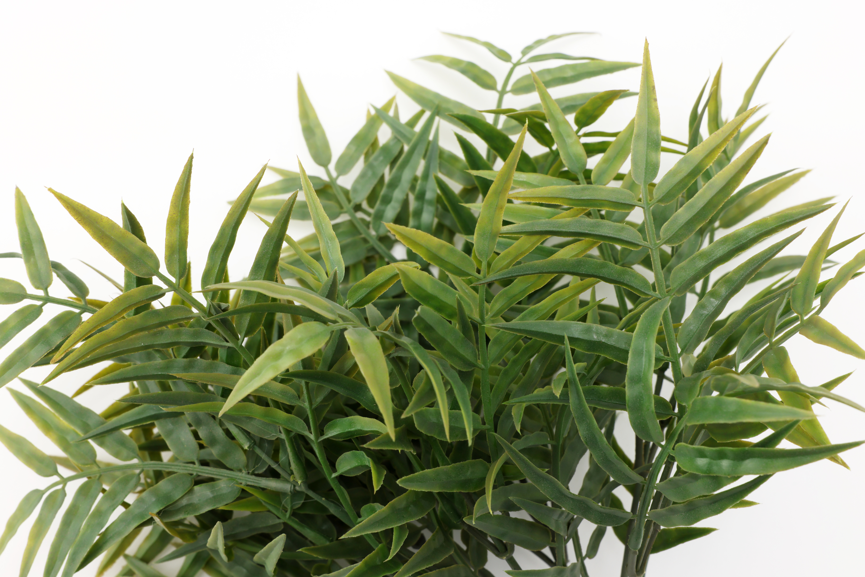 フェイクグリーン