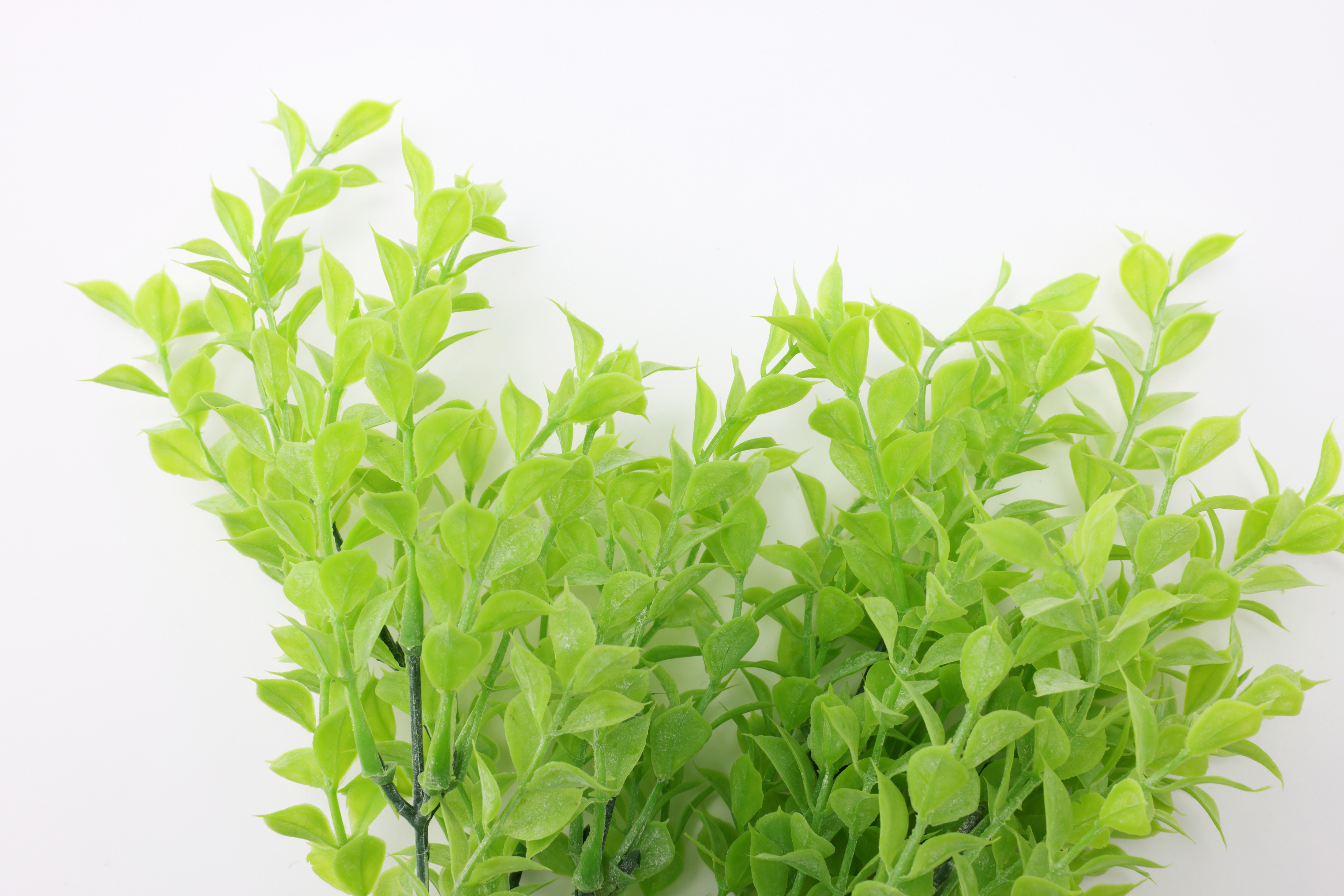 フェイクグリーン