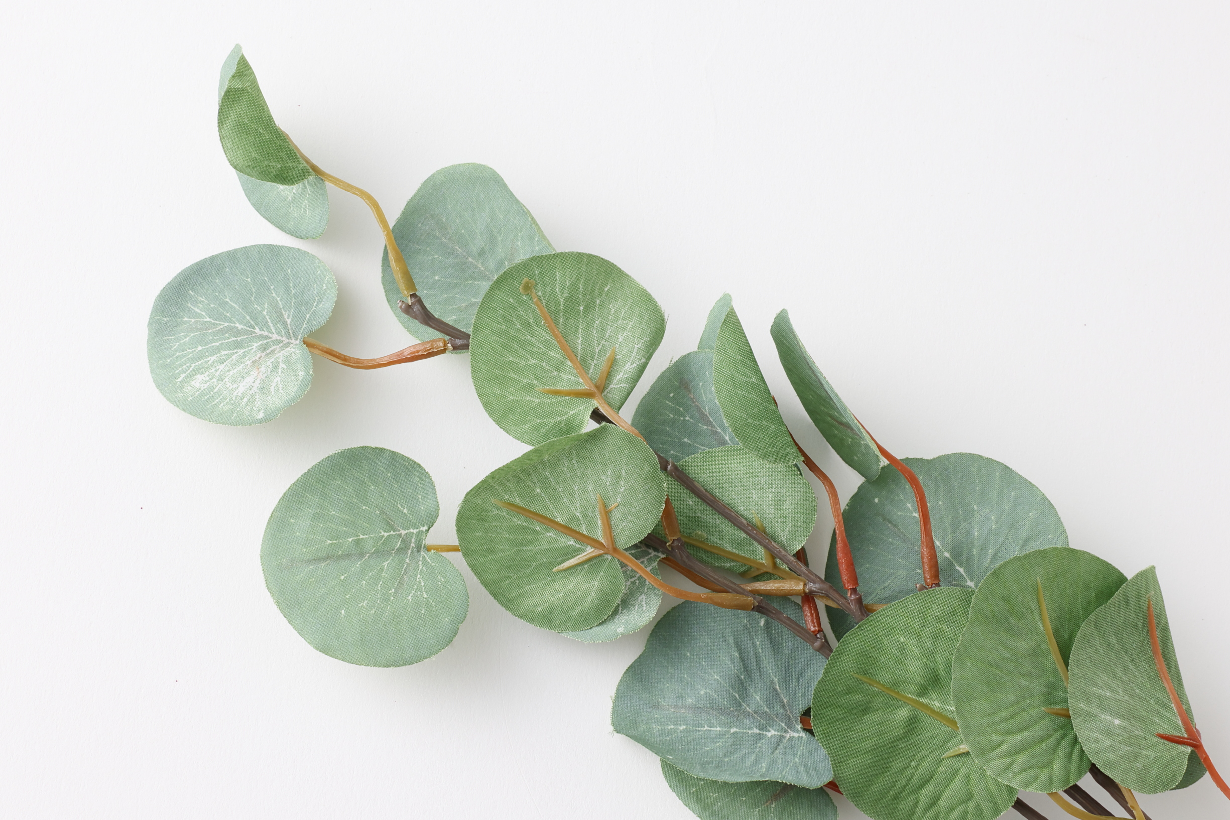 フェイクリーフ