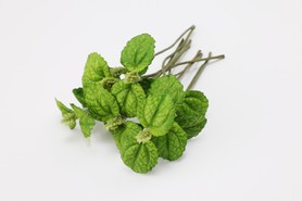 フェイクグリーン