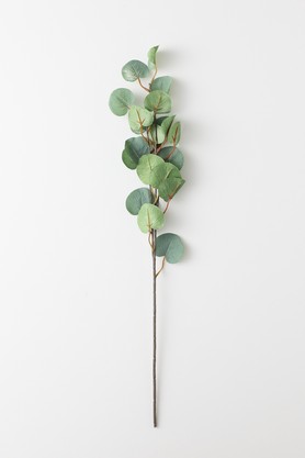 フェイクリーフ