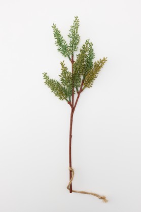 フェイクグリーン