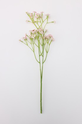 フェイクグリーン