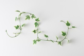 フェイクリーフ