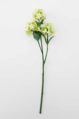 フェイクグリーン